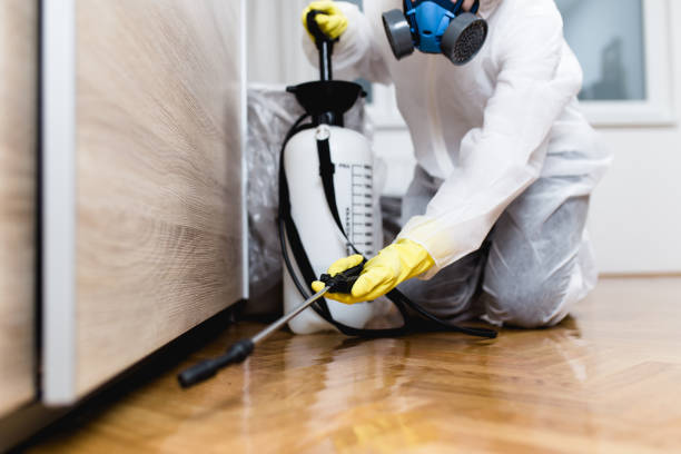 Best Exterminator Services  in Whittier, CA