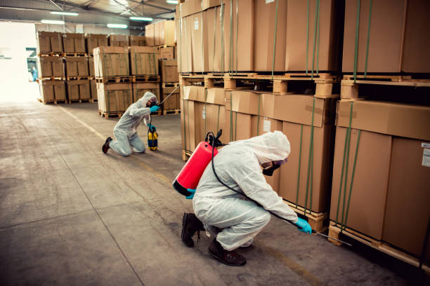Best Pest Inspection Near Me  in Whittier, CA