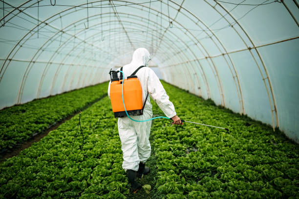 Best Pest Prevention Services  in Whittier, CA