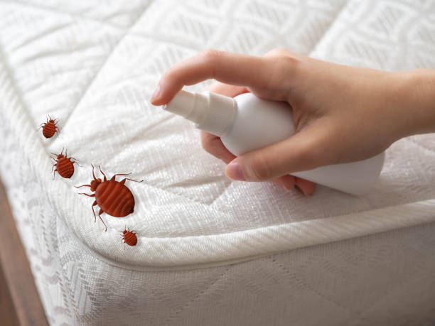 Best Residential Pest Control  in Whittier, CA