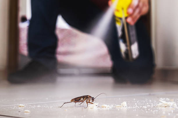 Best Mosquito Control Services  in Whittier, CA