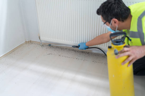 Best Residential Pest Control  in Whittier, CA